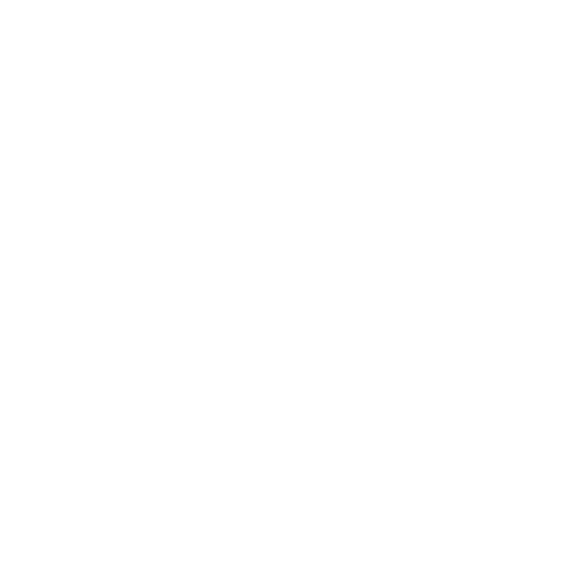 The Silly Box